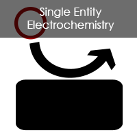 single entity electrochem icon